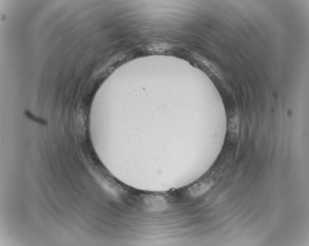 X0000087740572200706041040