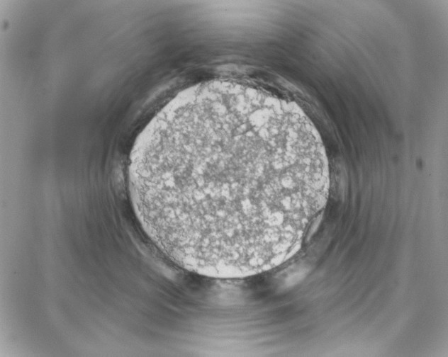 X0000087740573200706041040