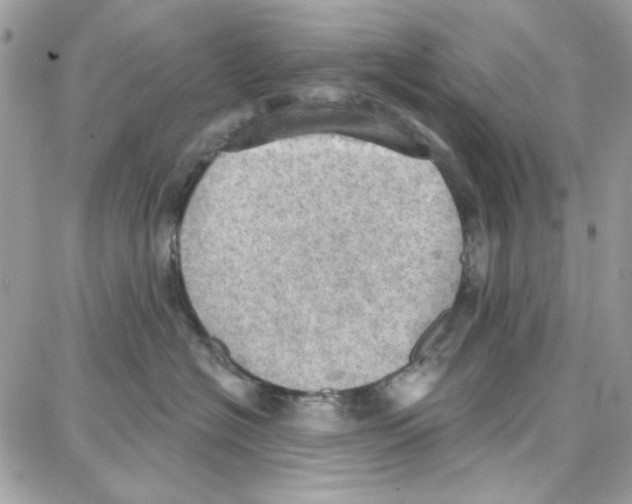 X0000087740574200706041040