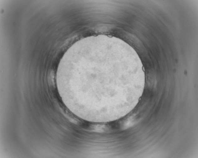 X0000087740575200706041040