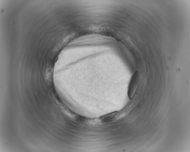 X0000087740576200706041040