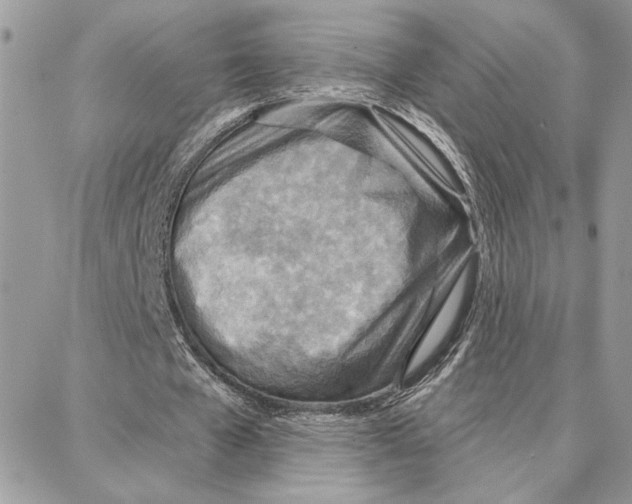 X0000087740577200706041039