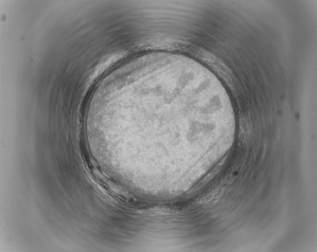 X0000087740578200706041039