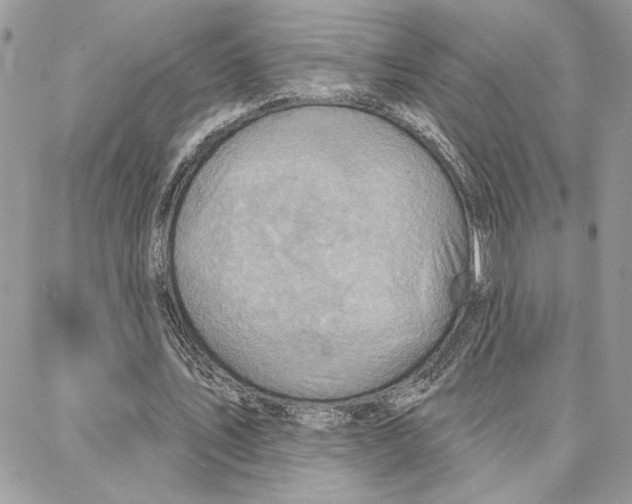 X0000087740579200706041039