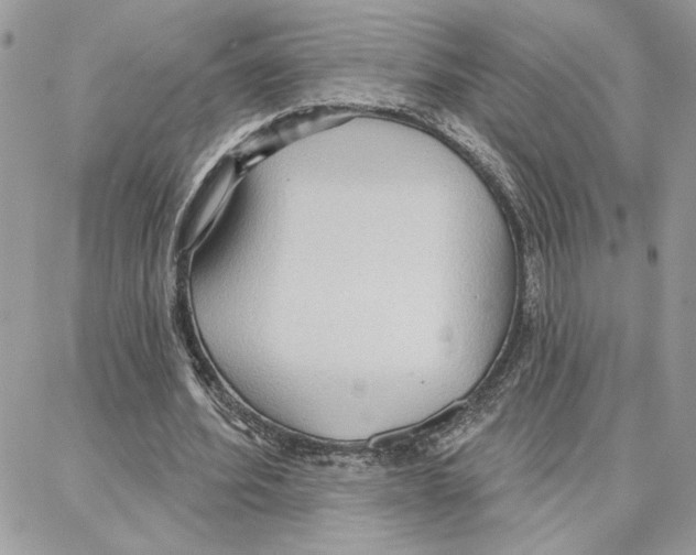 X0000087740580200706041039