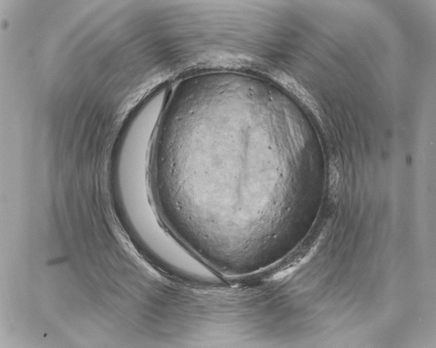 X0000087740581200706041039