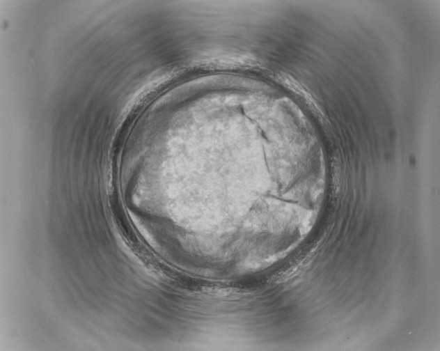 X0000087740582200706041039