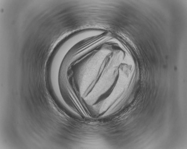 X0000087740584200706041039