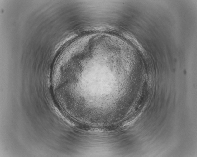 X0000087740585200706041039