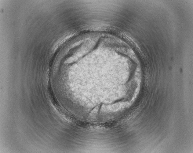 X0000087740586200706041039