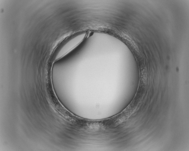 X0000087740587200706041039