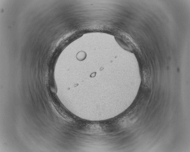 X0000087740588200706041039