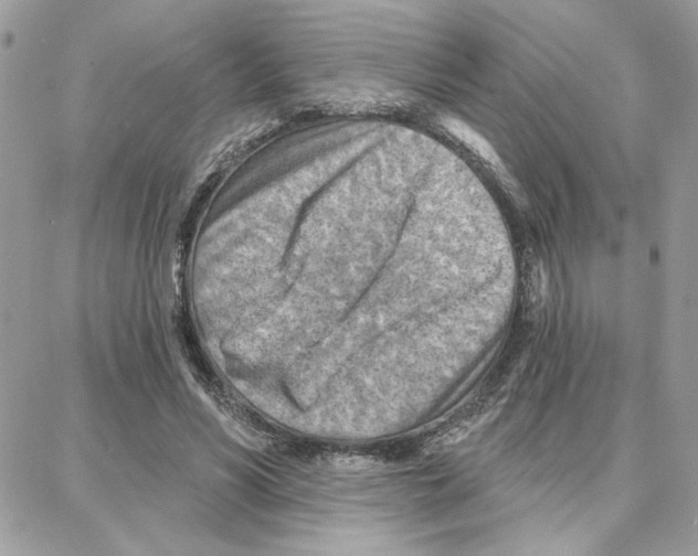 X0000087740590200706041039