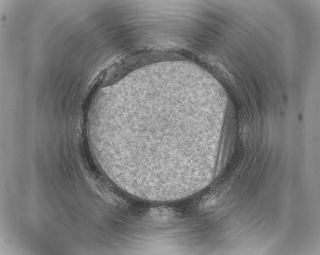 X0000087740591200706041039