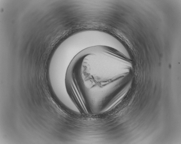 X0000087740593200706041039