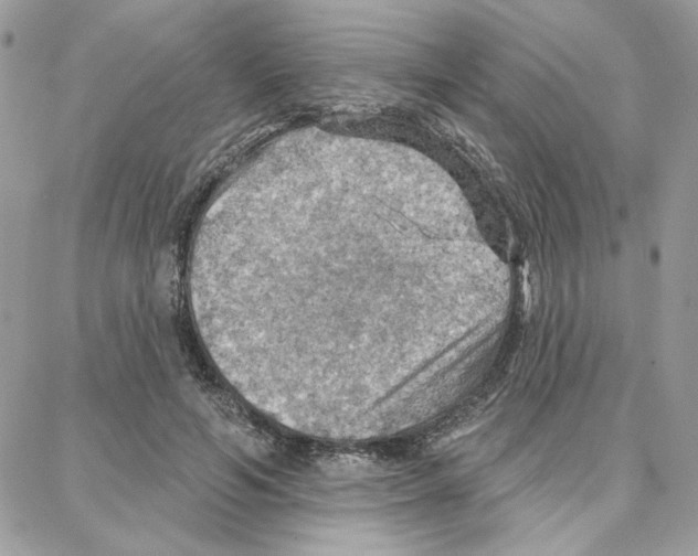 X0000087740594200706041039