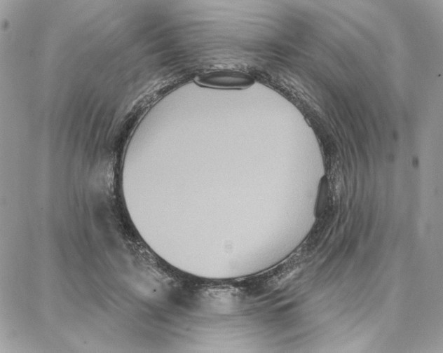 X0000087740595200706041039