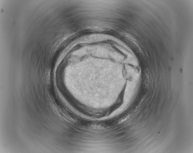 X0000087740596200706041039