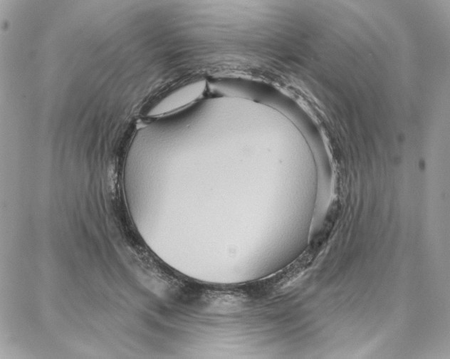 X0000087740597200706041039