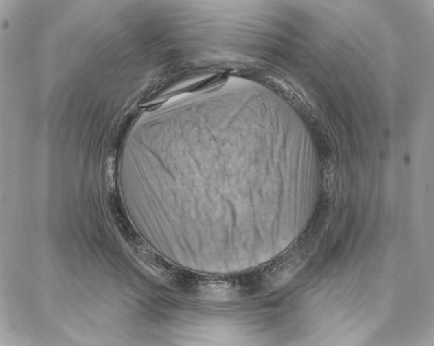 X0000087740598200706041038