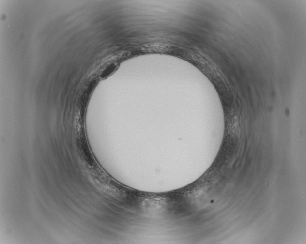 X0000087740599200706041038