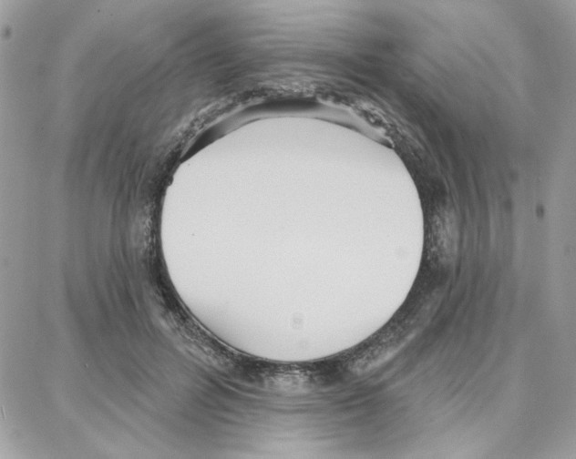 X0000087740600200706041038