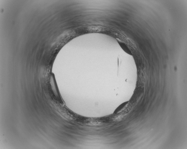 X0000087740601200706041038