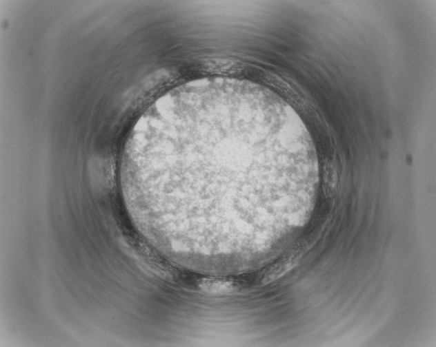 X0000087740602200706041038