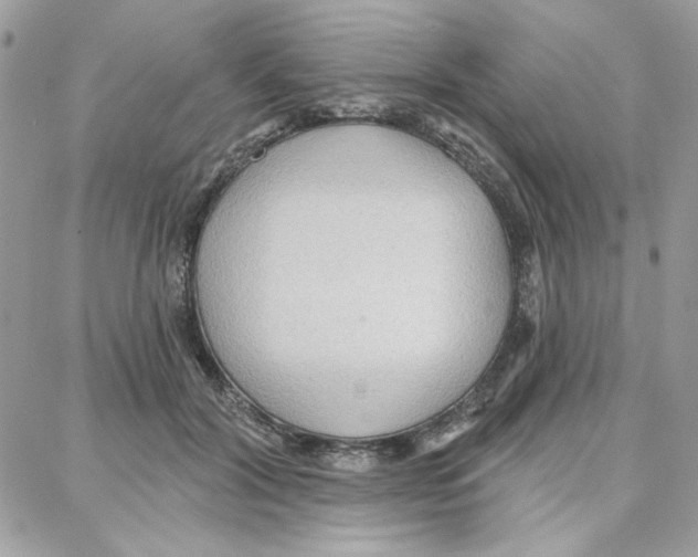 X0000087740604200706041038