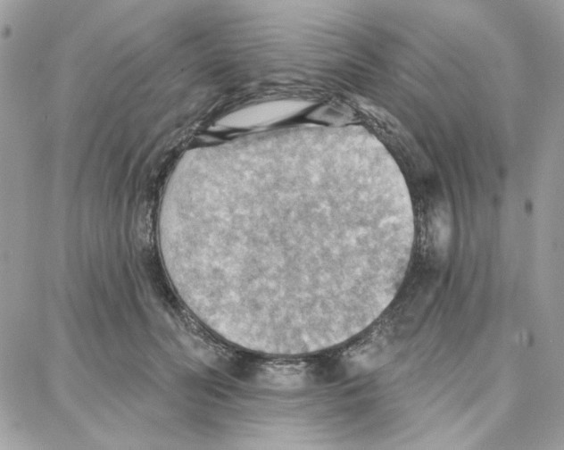 X0000087740606200706041038