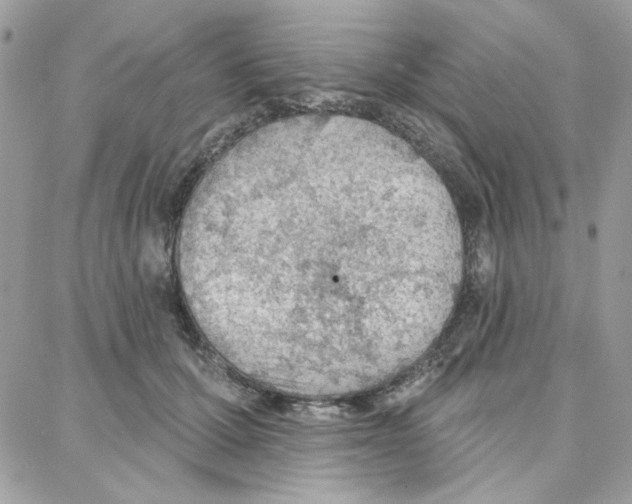 X0000087740607200706041038