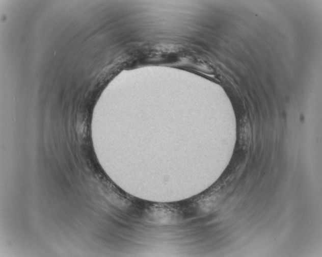 X0000087740608200706041038