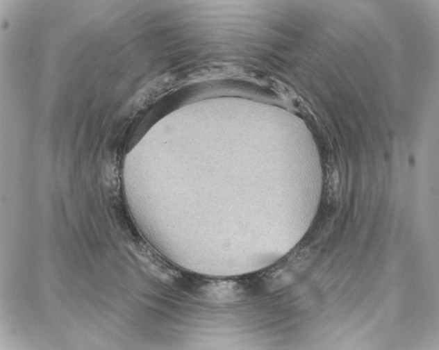 X0000087740609200706041038