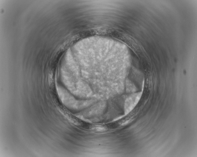 X0000087740610200706041038