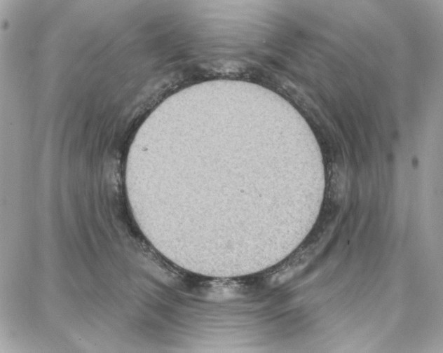 X0000087740612200706041038