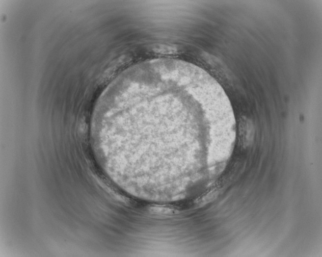 X0000087740614200706041038