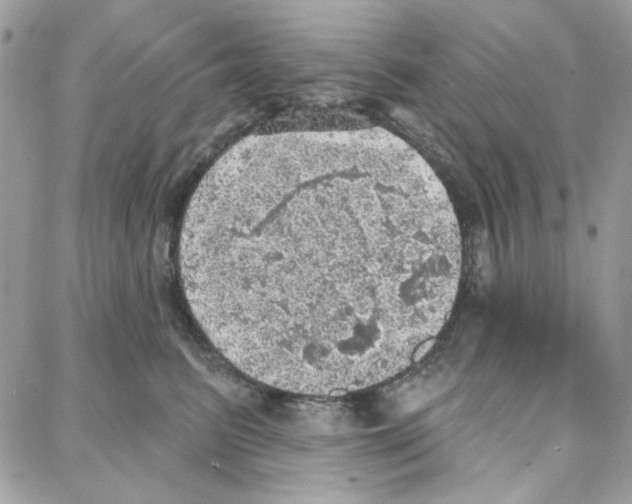 X0000087740615200706041038