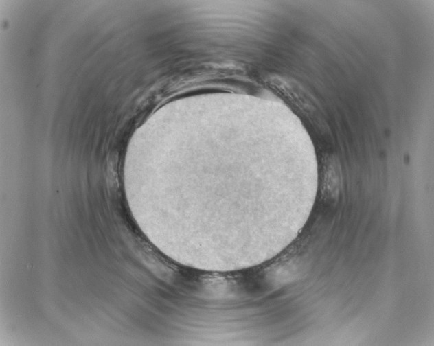 X0000087740616200706041038