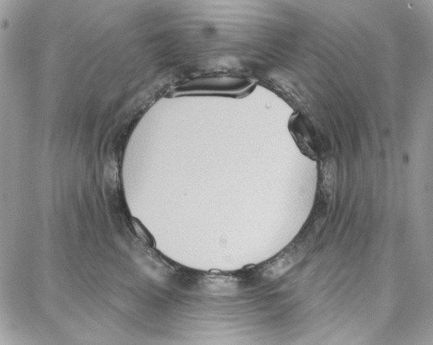 X0000087740617200706041038