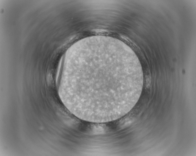 X0000087740618200706041038