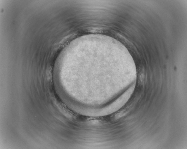 X0000087740620200706041038