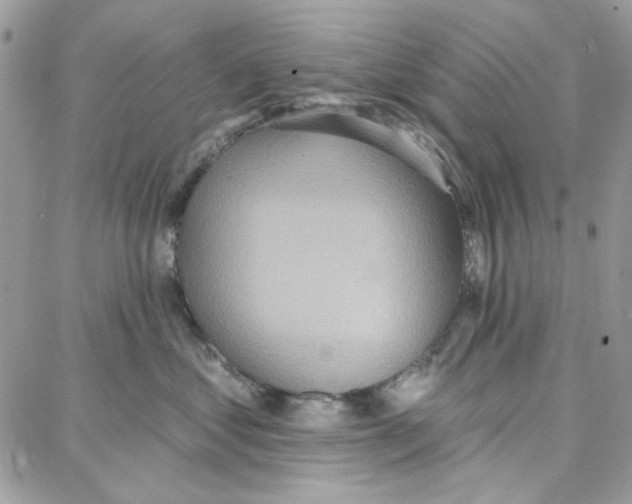 X0000087740621200706041038