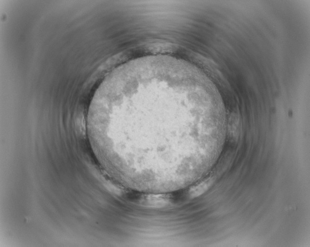 X0000087740622200706041038