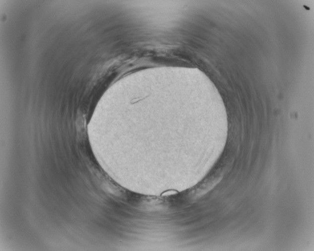 X0000087740624200706041038