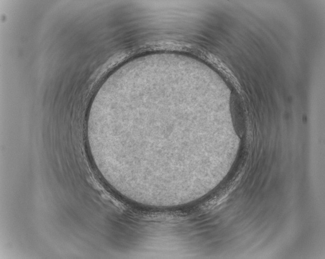 X0000087740625200706041037