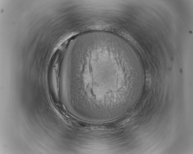 X0000087740626200706041037