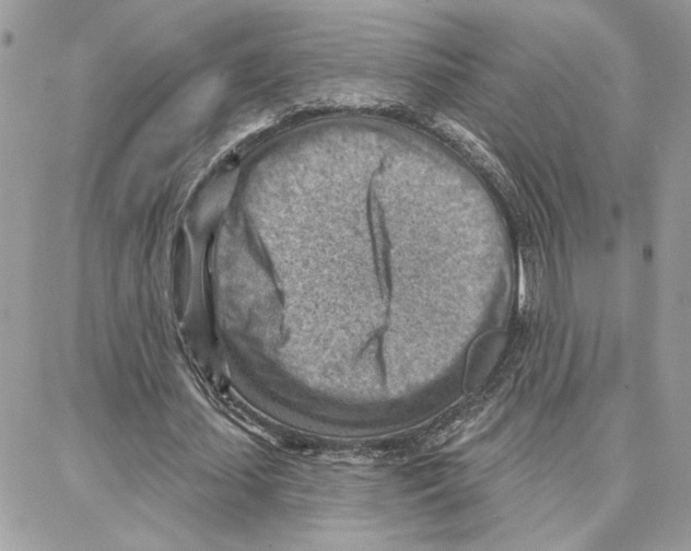 X0000087740627200706041037