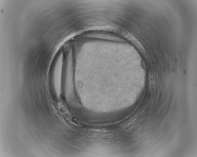 X0000087740628200706041037