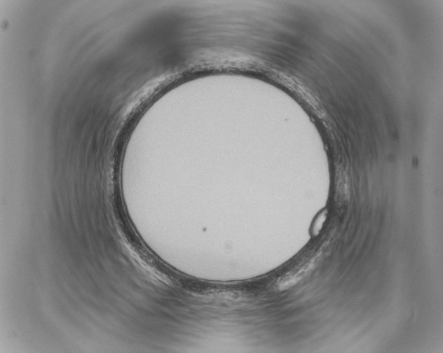 X0000087740629200706041037