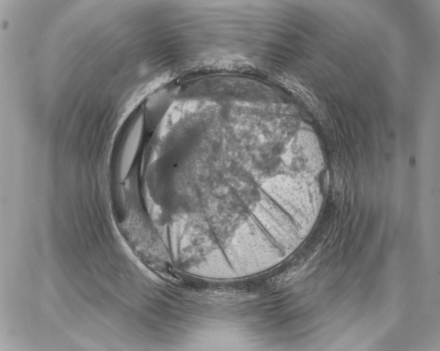 X0000087740630200706041037